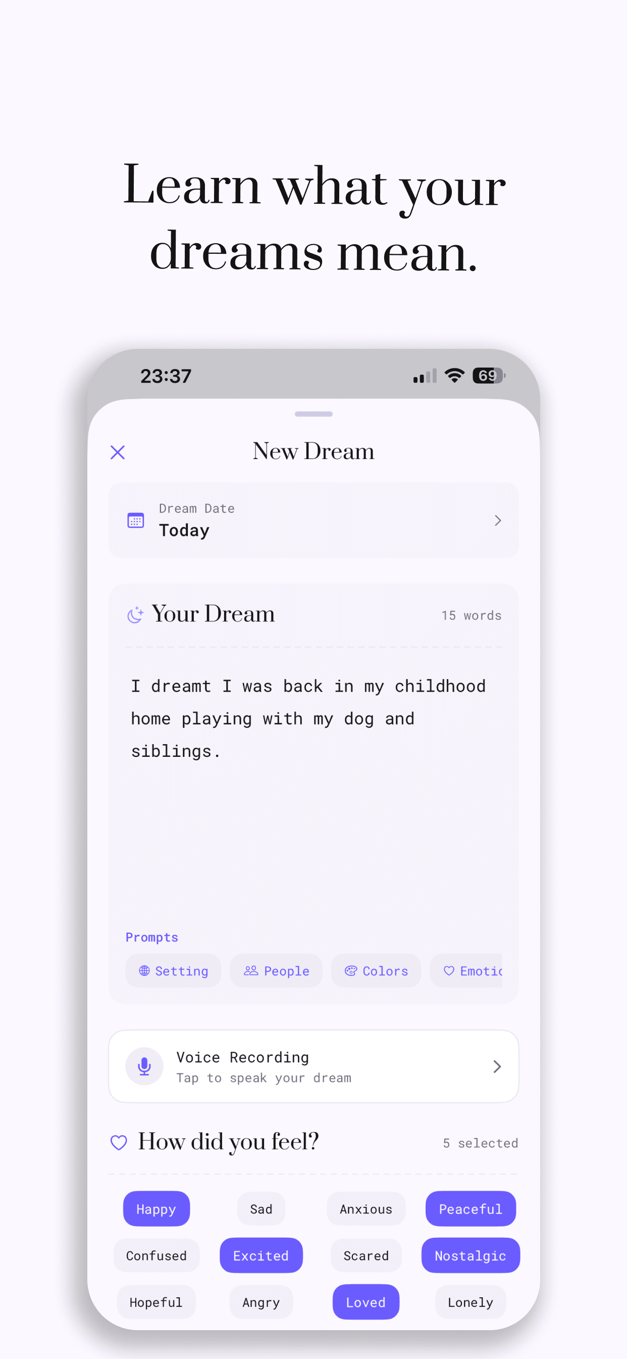 Sueño dream entry form